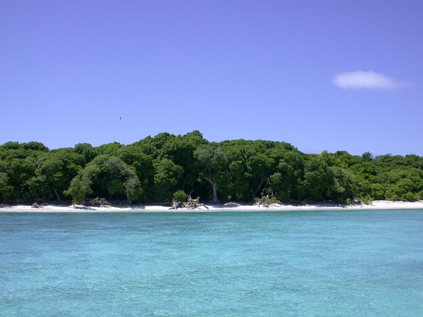 Lady Musgrave Island